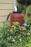 rain barrel in garden.JPG